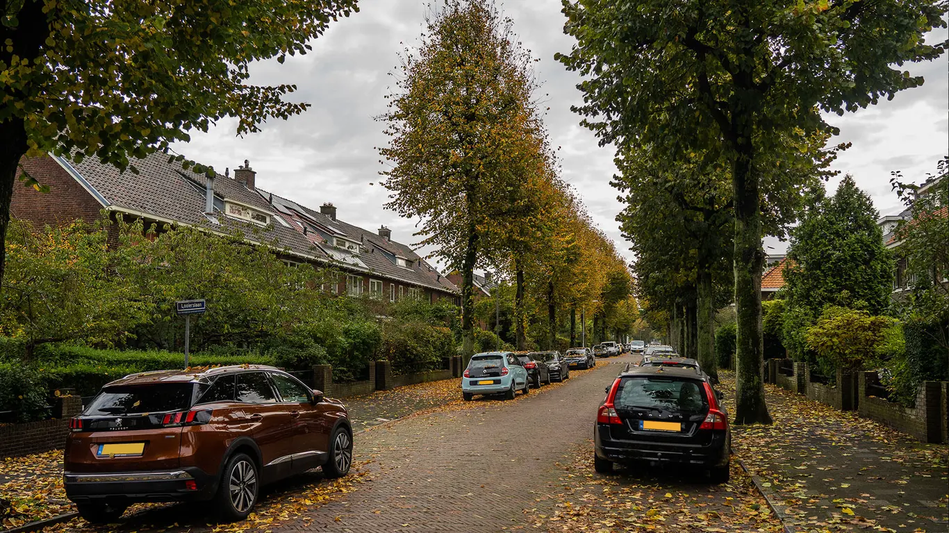 Damsigt en omgeving