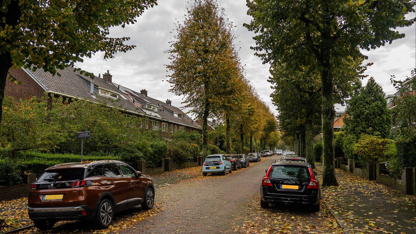 Damsigt en omgeving