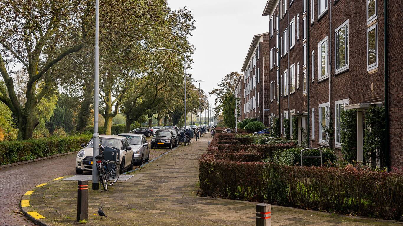 Bovenveen