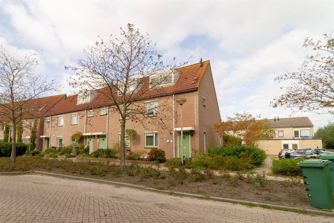 Bromelia 15 NOOTDORP