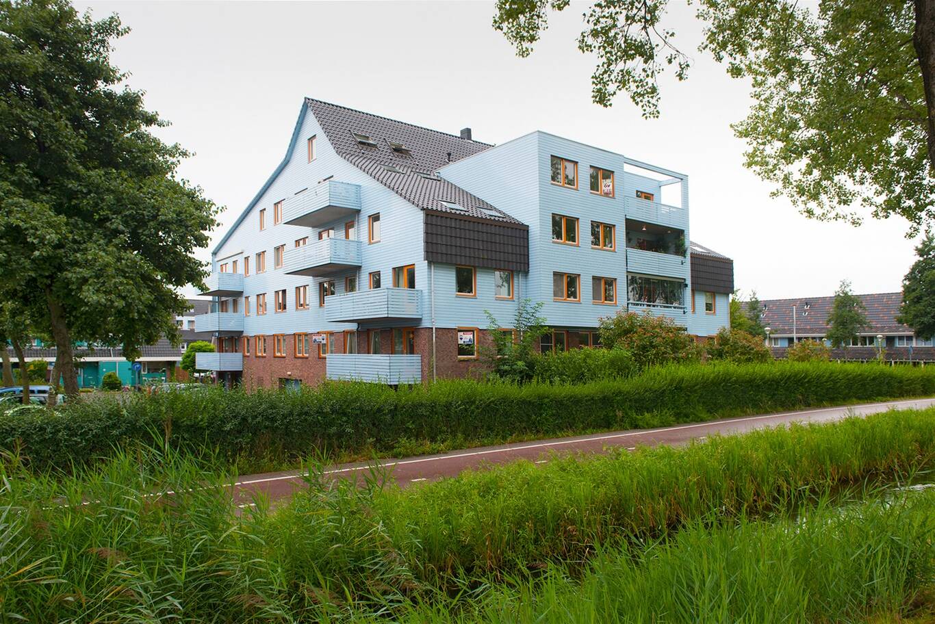 Cypergras 97 'S-GRAVENHAGE