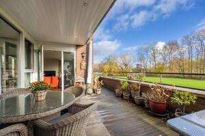 Wingerd 98 'S-GRAVENHAGE Wingerd 98 'S-GRAVENHAGE